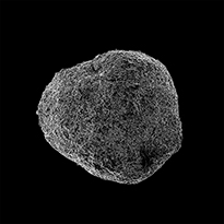 A Sting in the Tale (Pollen)